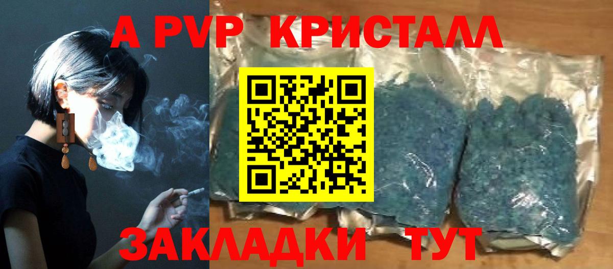 Alfa_PVP СК КРИС Саратов