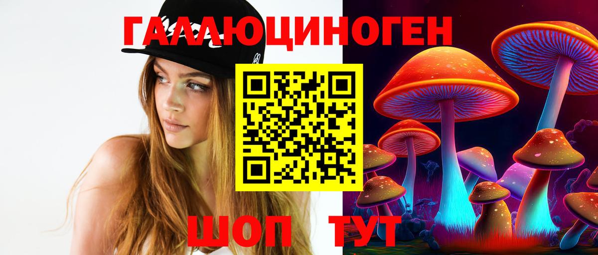 Галлюциногенные грибы мухоморы  Галлюциногенные грибы Psilocybine cubensis  даркнет сайт  Саратов  Вход с VPN 